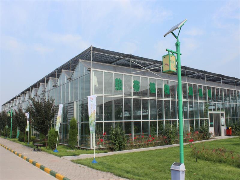 北京新华农源—温室园艺一站式解决方案服务商