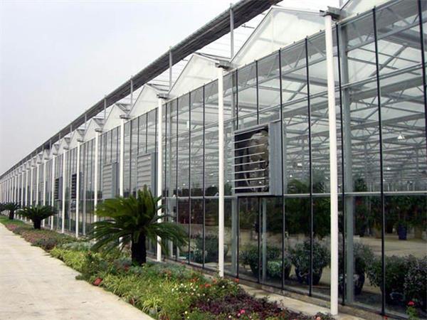 玻璃温室的设计和施工